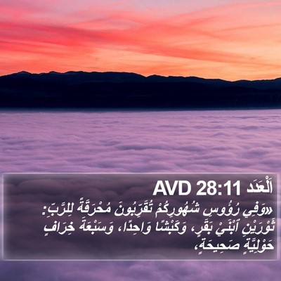 اَلْعَدَد 28:11 AVD Bible Verse Image