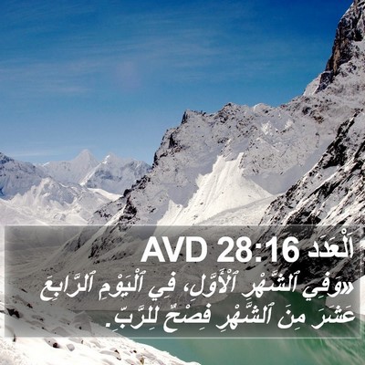 اَلْعَدَد 28:16 AVD Bible Verse Image