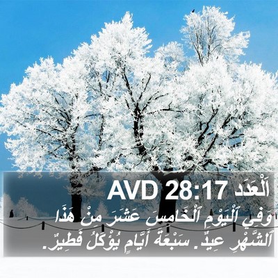 اَلْعَدَد 28:17 AVD Bible Verse Image