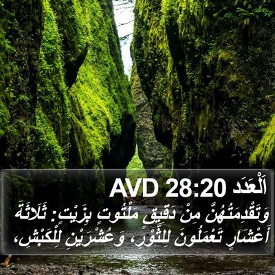 اَلْعَدَد 28:20 AVD Bible Verse Image