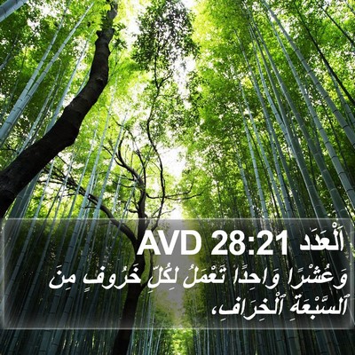 اَلْعَدَد 28:21 AVD Bible Verse Image
