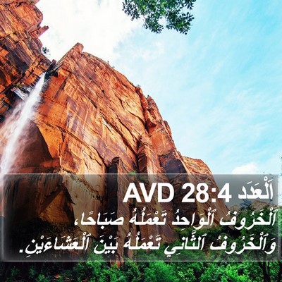 اَلْعَدَد 28:4 AVD Bible Verse Image