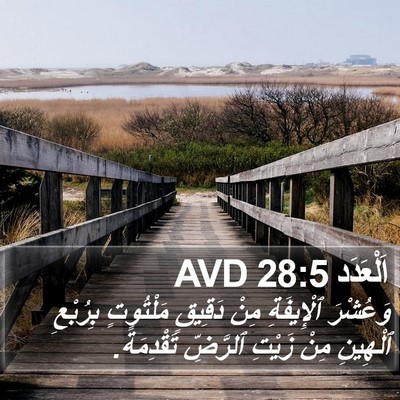 اَلْعَدَد 28:5 AVD Bible Verse Image