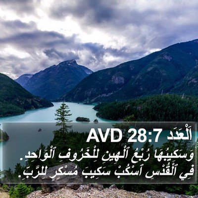 اَلْعَدَد 28:7 AVD Bible Verse Image