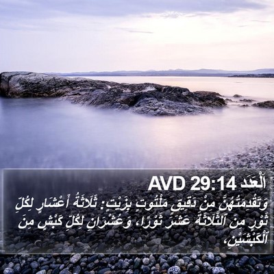 اَلْعَدَد 29:14 AVD Bible Verse Image