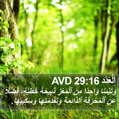 اَلْعَدَد 29:16 AVD Bible Verse Image