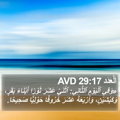 اَلْعَدَد 29:17 AVD Bible Verse Image