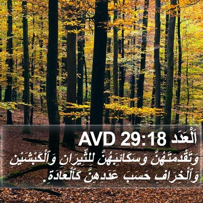 اَلْعَدَد 29:18 AVD Bible Verse Image