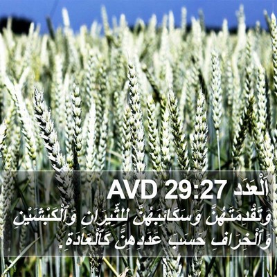 اَلْعَدَد 29:27 AVD Bible Verse Image