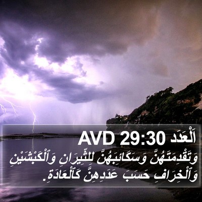 اَلْعَدَد 29:30 AVD Bible Verse Image