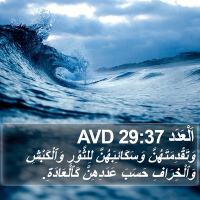 اَلْعَدَد 29:37 AVD Bible Verse Image