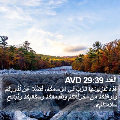 اَلْعَدَد 29:39 AVD Bible Verse Image