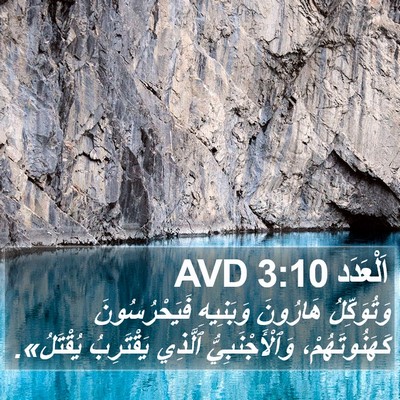 اَلْعَدَد 3:10 AVD Bible Verse Image
