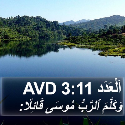 اَلْعَدَد 3:11 AVD Bible Verse Image
