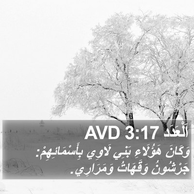 اَلْعَدَد 3:17 AVD Bible Verse Image