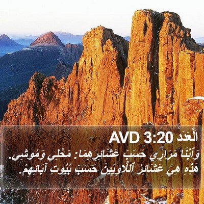 اَلْعَدَد 3:20 AVD Bible Verse Image
