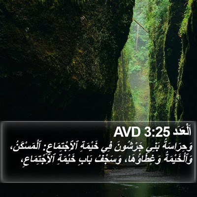 اَلْعَدَد 3:25 AVD Bible Verse Image