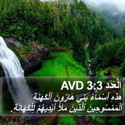 اَلْعَدَد 3:3 AVD Bible Verse Image