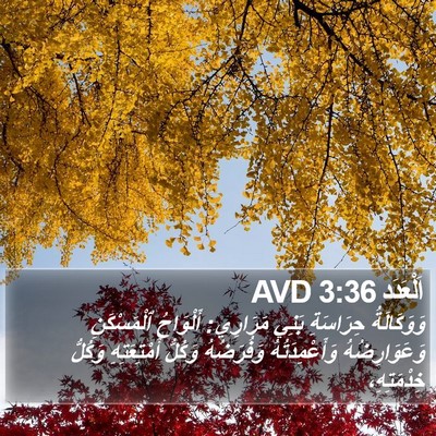اَلْعَدَد 3:36 AVD Bible Verse Image