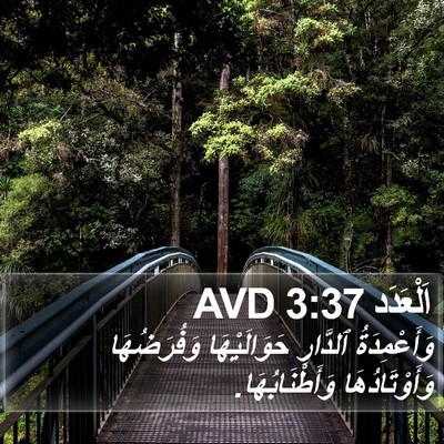 اَلْعَدَد 3:37 AVD Bible Verse Image