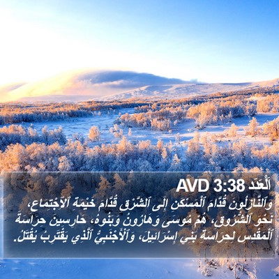 اَلْعَدَد 3:38 AVD Bible Verse Image