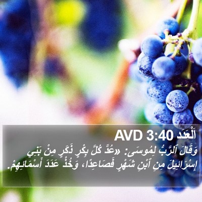 اَلْعَدَد 3:40 AVD Bible Verse Image