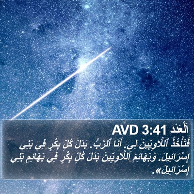 اَلْعَدَد 3:41 AVD Bible Verse Image