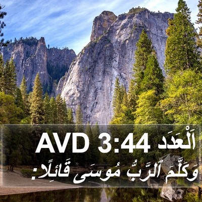 اَلْعَدَد 3:44 AVD Bible Verse Image