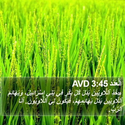 اَلْعَدَد 3:45 AVD Bible Verse Image