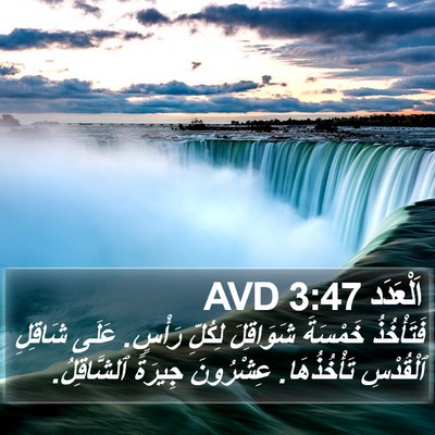 اَلْعَدَد 3:47 AVD Bible Verse Image
