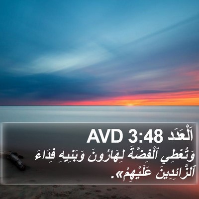 اَلْعَدَد 3:48 AVD Bible Verse Image