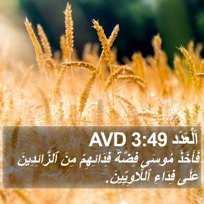 اَلْعَدَد 3:49 AVD Bible Verse Image