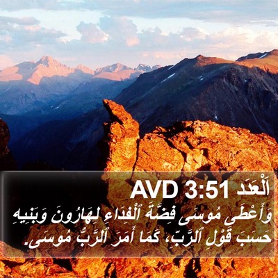 اَلْعَدَد 3:51 AVD Bible Verse Image