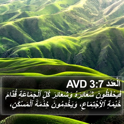 اَلْعَدَد 3:7 AVD Bible Verse Image