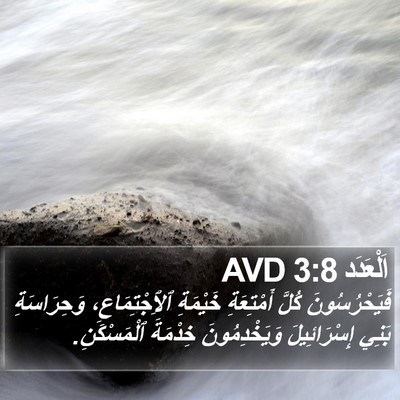 اَلْعَدَد 3:8 AVD Bible Verse Image