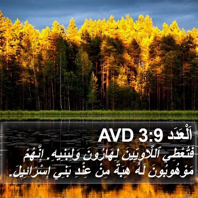 اَلْعَدَد 3:9 AVD Bible Verse Image