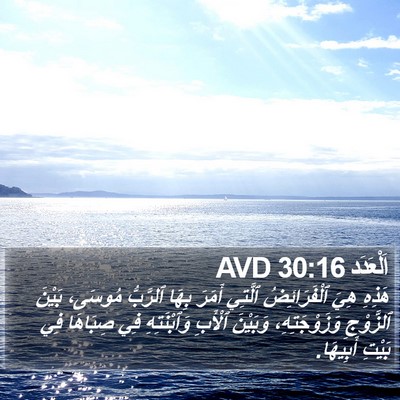 اَلْعَدَد 30:16 AVD Bible Verse Image