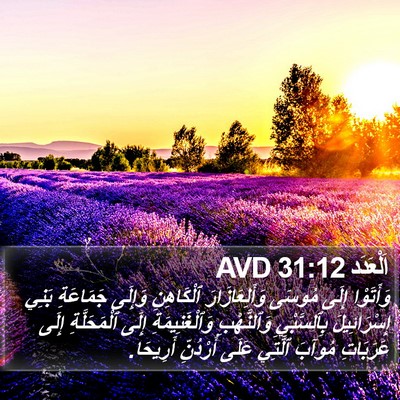 اَلْعَدَد 31:12 AVD Bible Verse Image