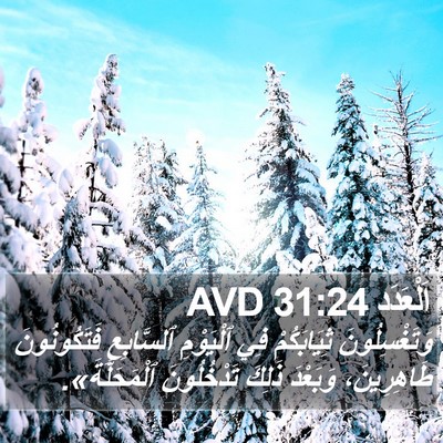 اَلْعَدَد 31:24 AVD Bible Verse Image
