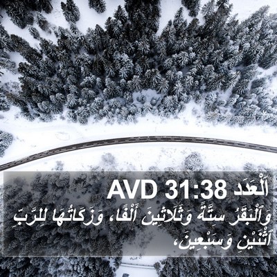 اَلْعَدَد 31:38 AVD Bible Verse Image