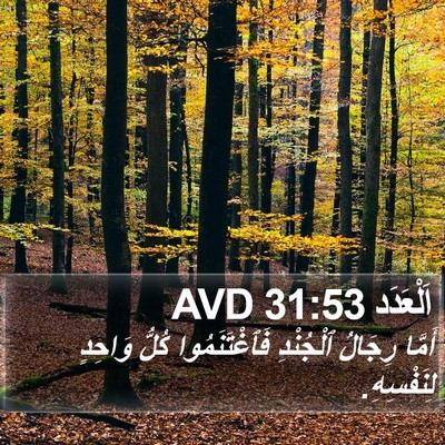 اَلْعَدَد 31:53 AVD Bible Verse Image