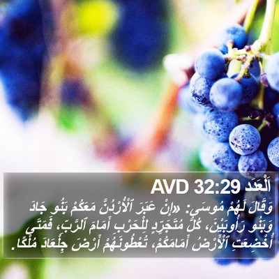اَلْعَدَد 32:29 AVD Bible Verse Image