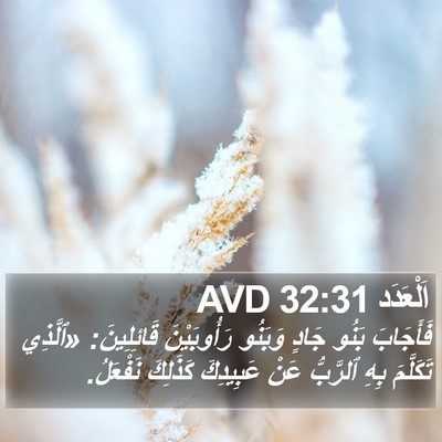 اَلْعَدَد 32:31 AVD Bible Verse Image