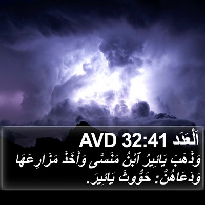 اَلْعَدَد 32:41 AVD Bible Verse Image