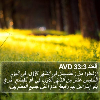 اَلْعَدَد 33:3 AVD Bible Verse Image