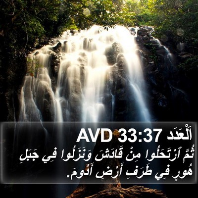 اَلْعَدَد 33:37 AVD Bible Verse Image