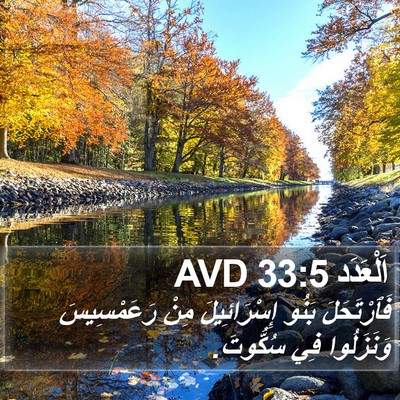 اَلْعَدَد 33:5 AVD Bible Verse Image