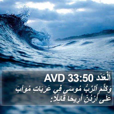 اَلْعَدَد 33:50 AVD Bible Verse Image