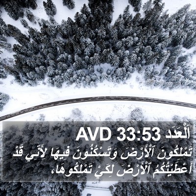 اَلْعَدَد 33:53 AVD Bible Verse Image
