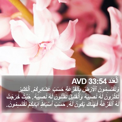 اَلْعَدَد 33:54 AVD Bible Verse Image